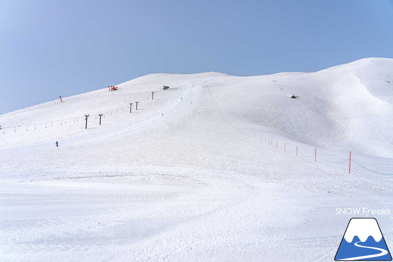 ニセコビレッジ ＆ ニセコHANAZONOリゾート ＆ ニセコ東急 グラン・ヒラフ｜現在も全エリアで山頂から山麓まで大部分滑走可能！とにかく広い世界のニセコ(^^)v